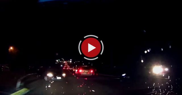 Tesla Autopilot Saves The Day