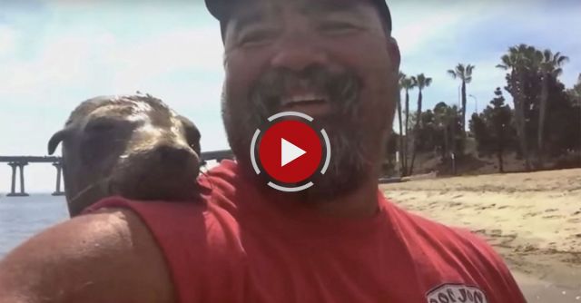 Seal Jumps On Guy's Boat And Makes A Friend