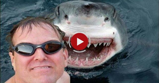 25 Most Dangerous Selfies Ever