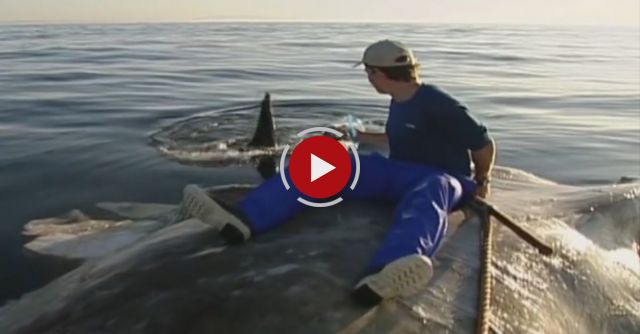 Researcher Sits On A Whale