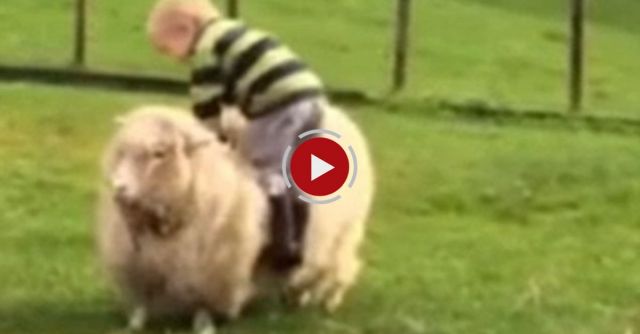 Ollie And James With Dotty And Sinead