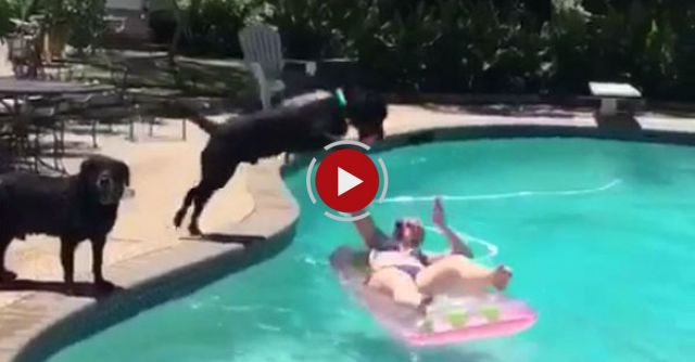 Shark Attack Caught On Video