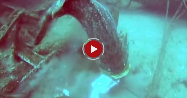 Huge Fish Drags Fisherman Around After Stealing His Catch