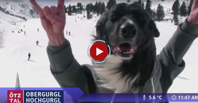 Funny Ski Resort Webcam Footage