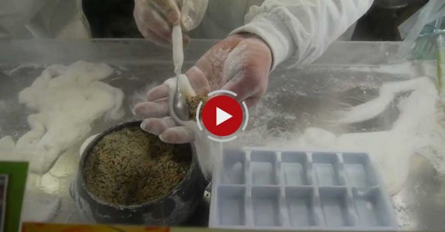 How To Create 16.000 Honey Strings In Two Minutes