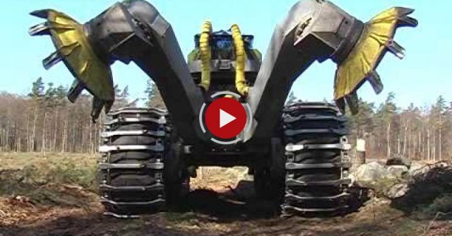 Terrifying Disc Trencher 