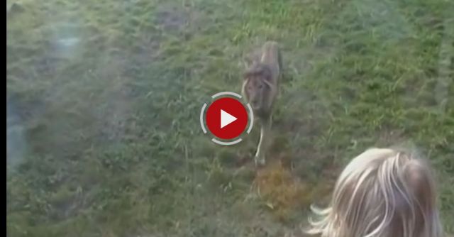 How To Freak Out A Two Year Old