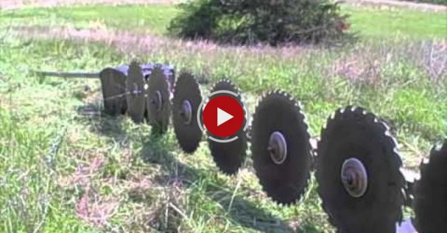 Trimming Trees From The Sky