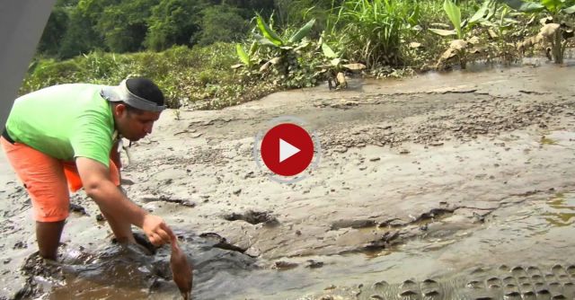 Scary Costa Rica Crocodile Experience