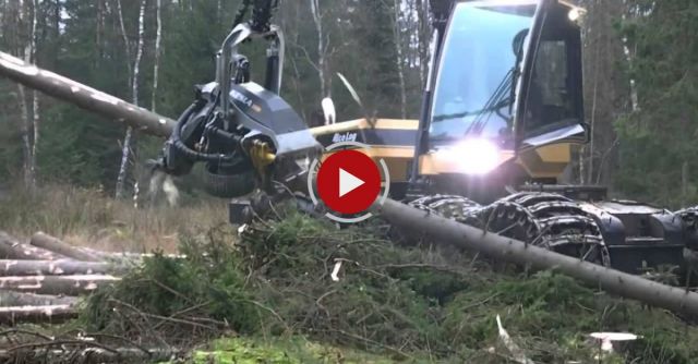 EcoLog 590D Med Kesla 28RH