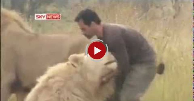 ‎The Lion Man - Shocking Real Story