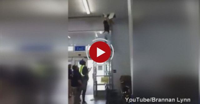 Watch Man Kick Through Ceiling To Escape Theft Arrest At  Wal-Mart