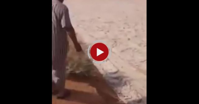 Weird Natural Phenomenon In Saudi Arabia's Empty Quarter Desert