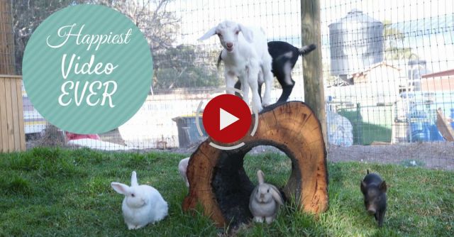Happiest Video EVER!