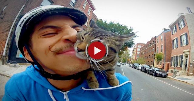 Cat Rides Guy. Guy Rides Bike.