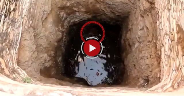 Drowning Puppy's Amazing Rescue From Well