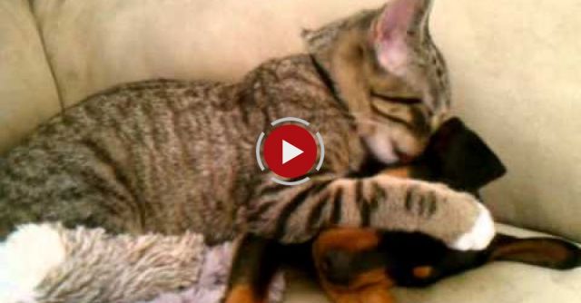 Winston Takes Care Of Zeke 