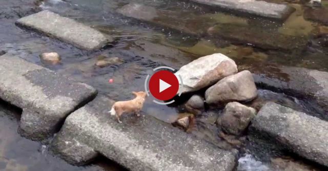 Caught This Guy Playing By Himself