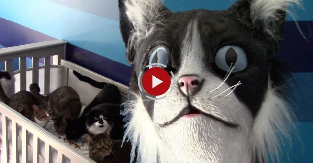 CatDad Feeds His Kitties In Cat Mask Fail! 
