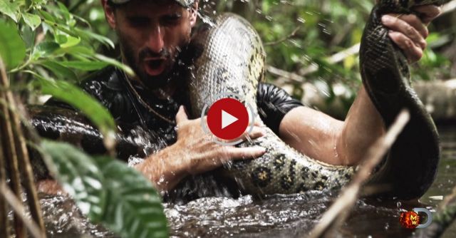 Eaten Alive By An Anaconda