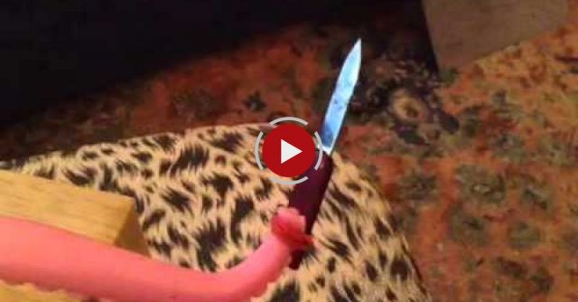 'Littlebits' 'Arduino' Knife-wielding Tentacle