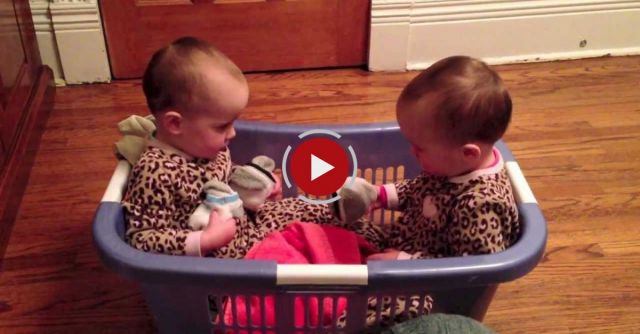 Twin Babies Talking In A Laundry Basket