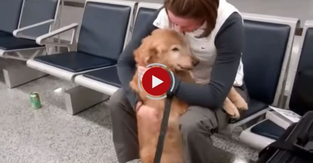 Soldier Reunion Dog Crying