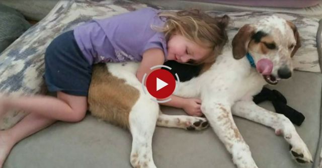 Deaf Albuquerque Girl Uses Sign Language To Communicate With Pet Dog