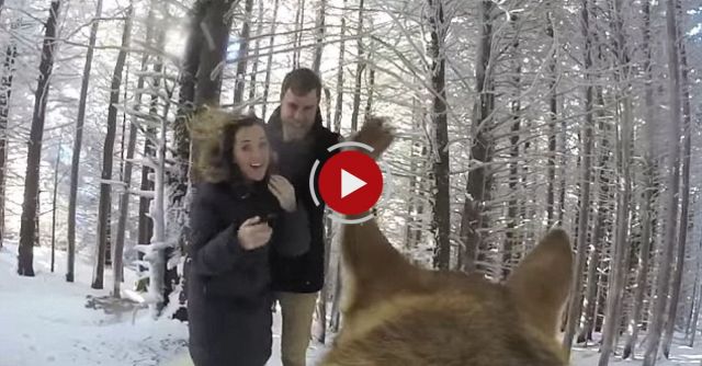 GoPro: Our Snowy Wedding (from Our Dog's Perspective)