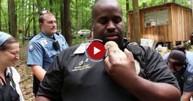 Rescued Puppy Mill Dogs Get A Second Chance