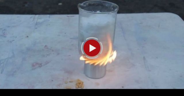 DIY Pine Cone Fire Starter