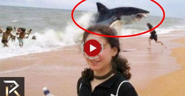 Unbelievable Shark Attack Stories