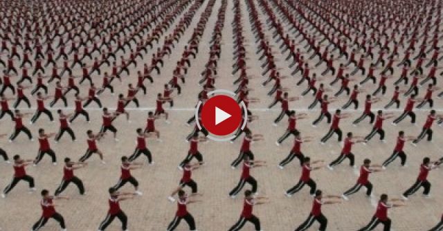 36,000 Kids You Don’t Want To Mess With