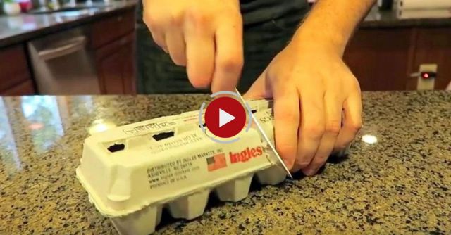 3 Egg Carton Life Hacks