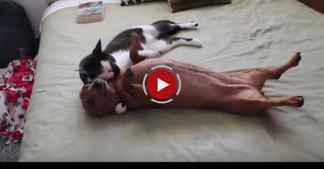 Liz Lemon Helps Penny Calm Down