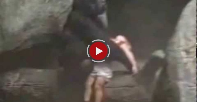 Boy Falls Into Gorilla Pit
