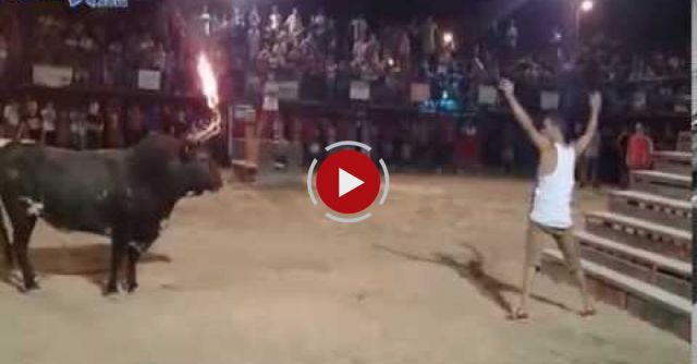 Don't Mess With An Angry Bull