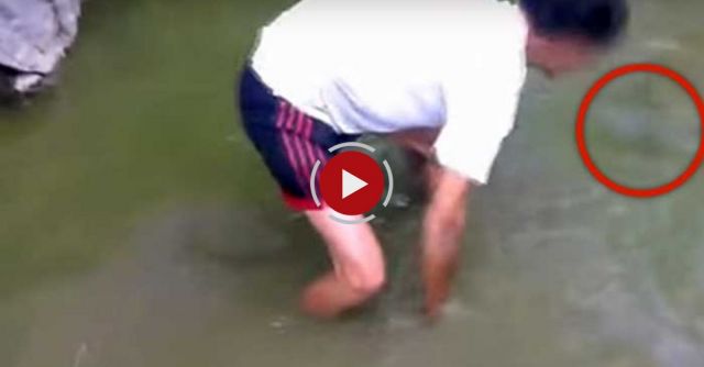 This Is NOT How You Catch An Electric Eel 