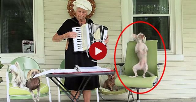 Nathan Dances To Live Accordion Music!