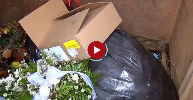 Squealing Pig Rescued From Dumpster