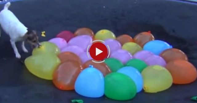 Spaz Attacks Water Balloons
