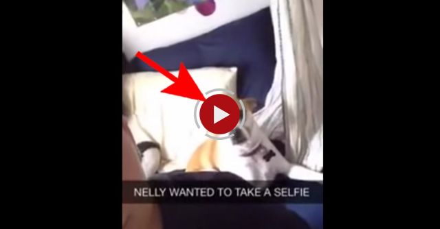 Nelly Wants To Selfie