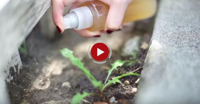 10 Life Hacks With Apple Cider Vinegar