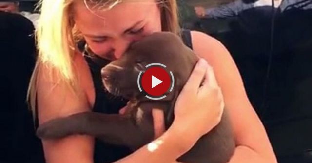 Best Proposa: Read Her Name Tag