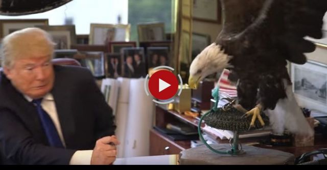 Watch Donald Trump Dodge A Bald Eagle | Person Of The Year 2015 | TIME