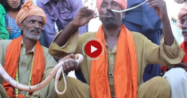 Man Pulls Snake Through Nose & Mouth