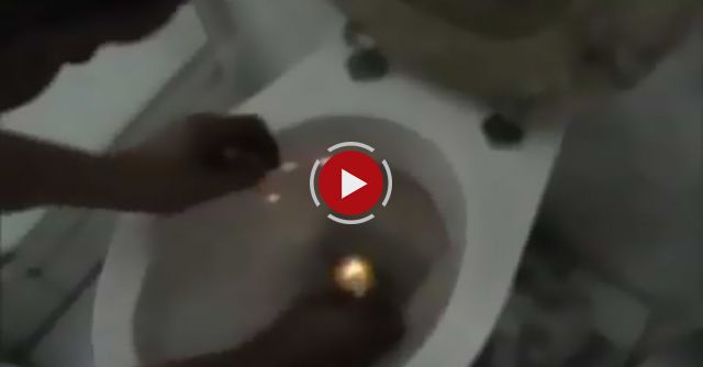 Best Of Toilettenreinigung