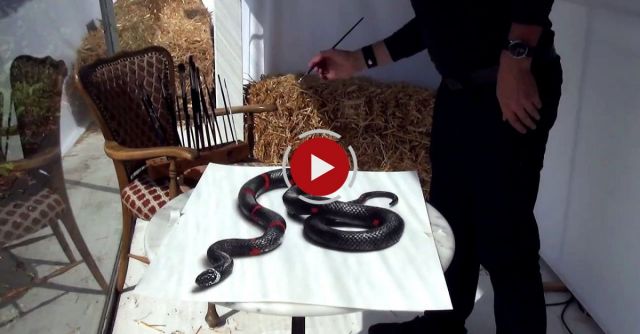 3D Drawing Of A Lifelike Snake | 3D Painting Optical Illusion!