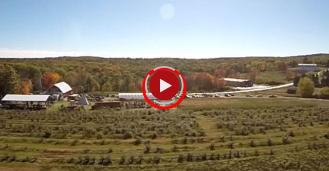 Stupidest Drone Crash Ever