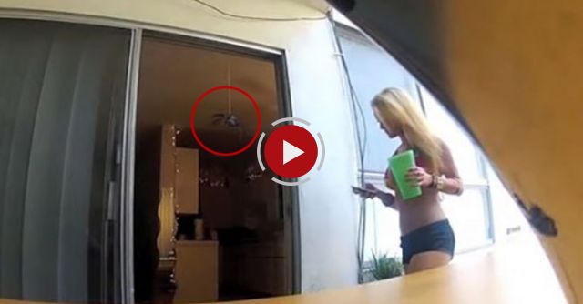 Scare Pranks - Top Ten